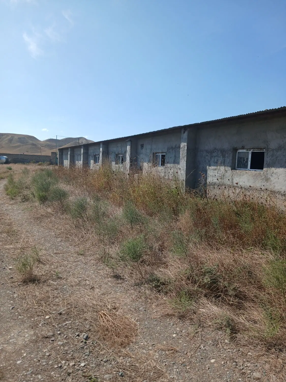 فروش گاوداری پرواربندی گوساله ۲۰۰ راسی