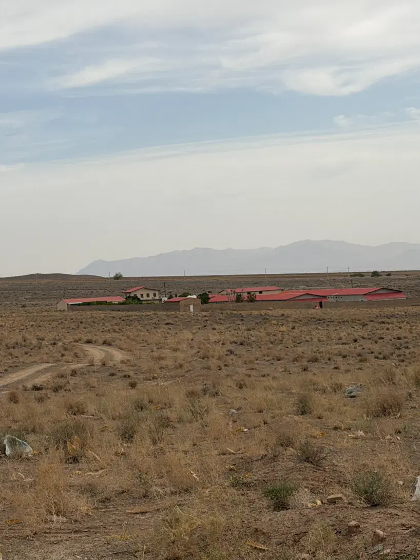 مرغداری
