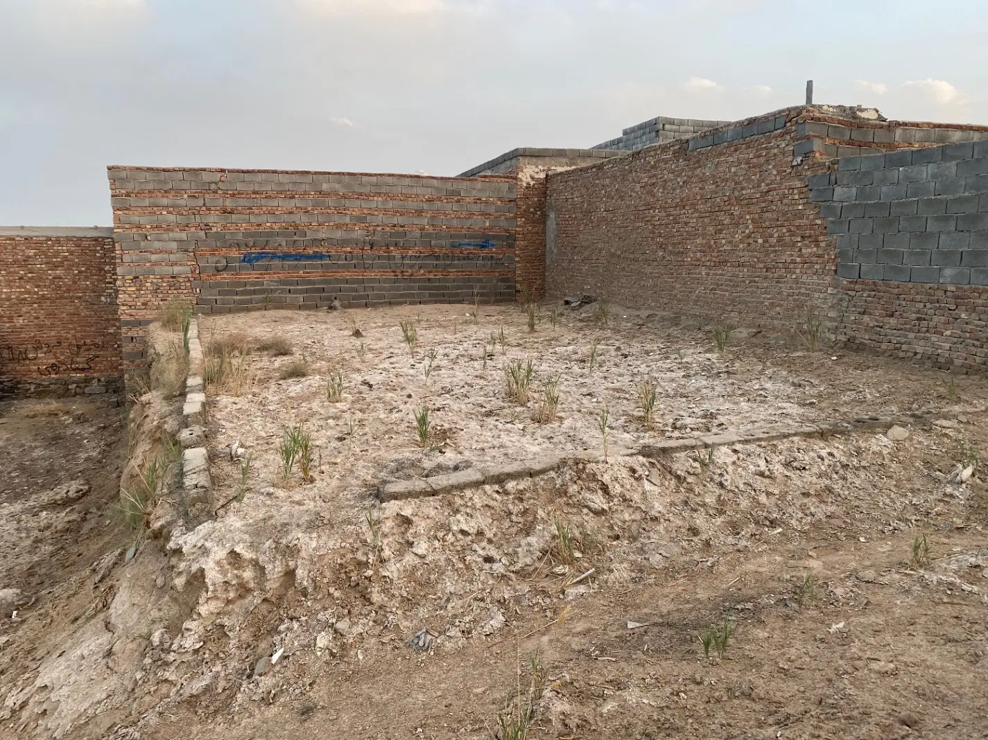 زمین