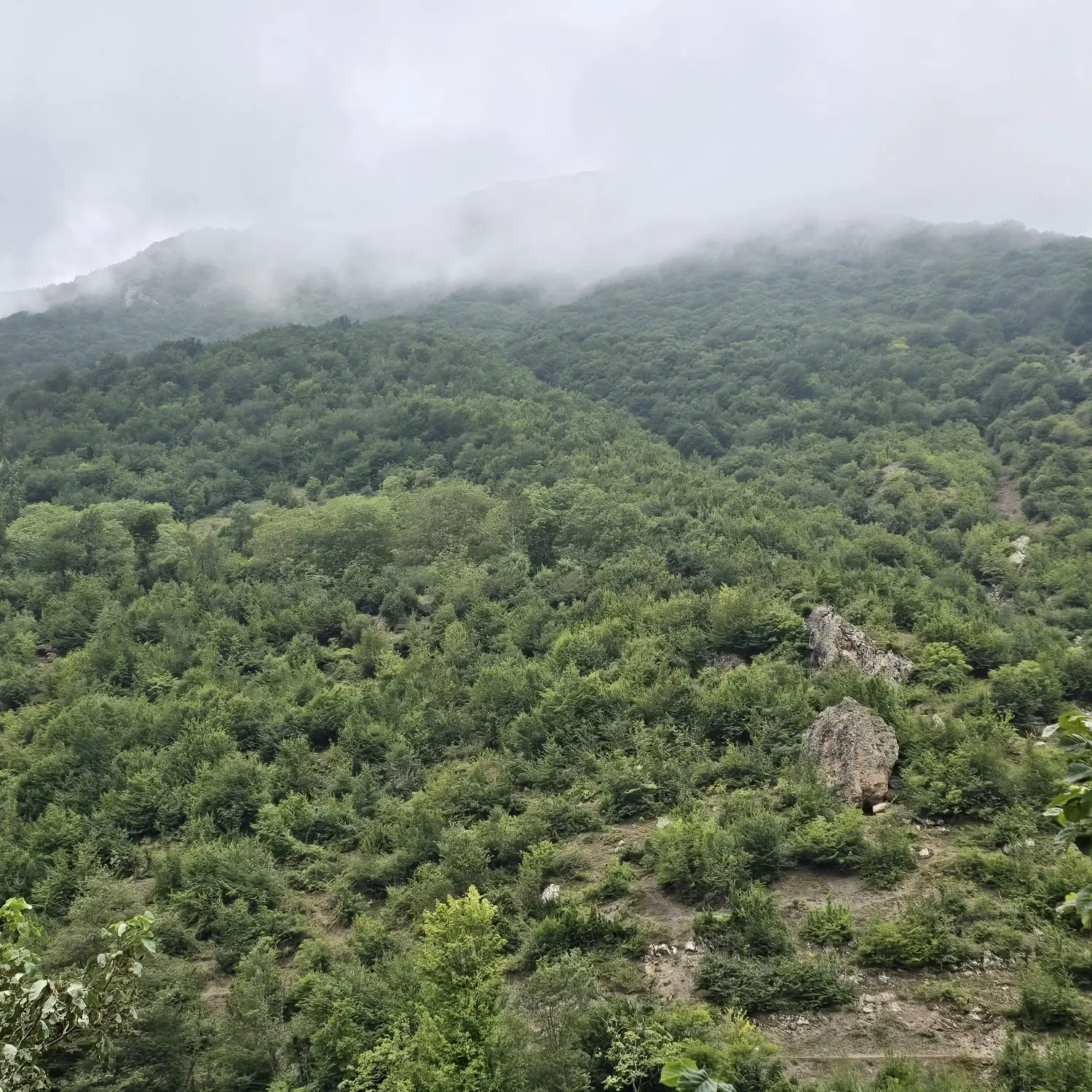 زمین ۱۰۵ متری میانرود