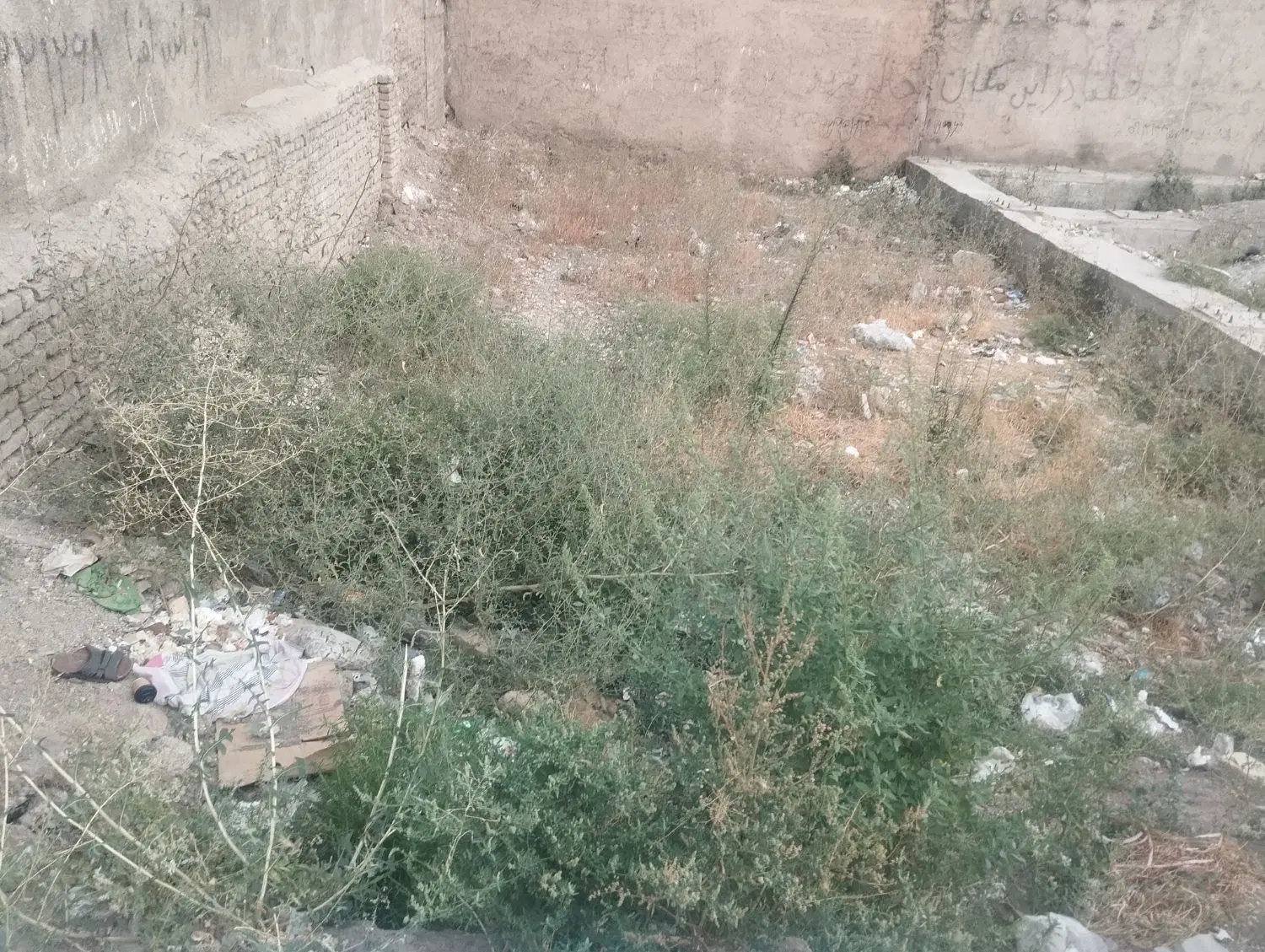 زمین 120متری