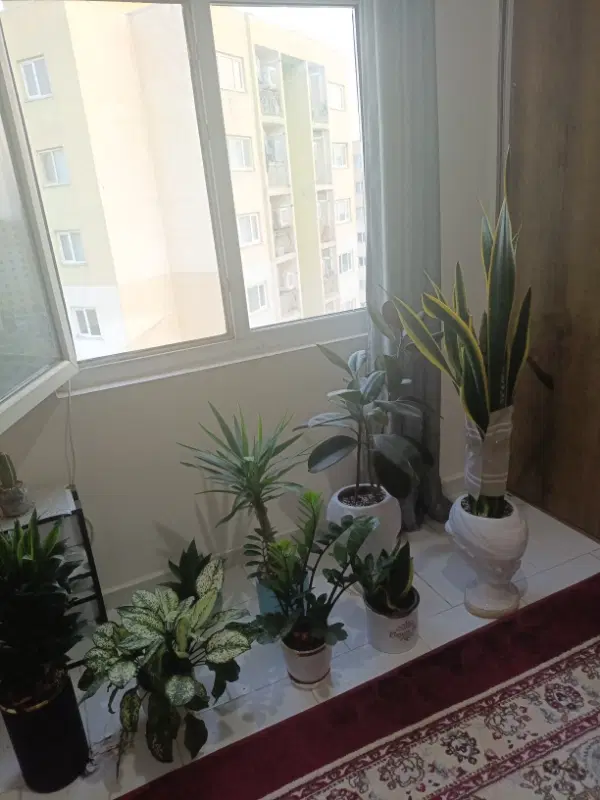 اجاره کوتاه مدت اپارتمان