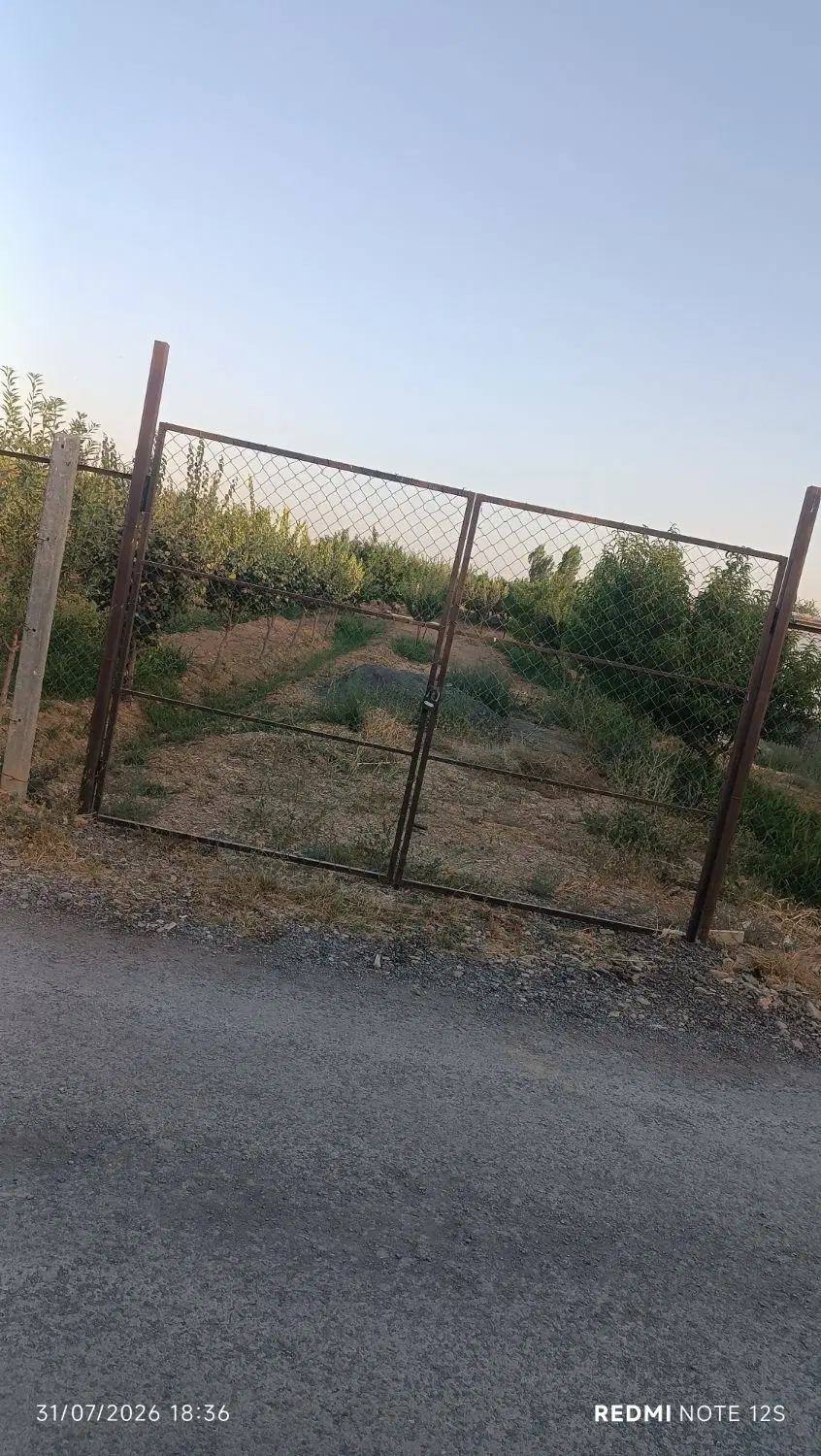 فروش زمین باغ