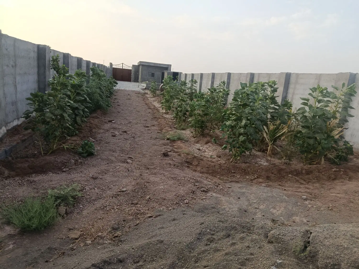 خانه باغ شهر مشکات