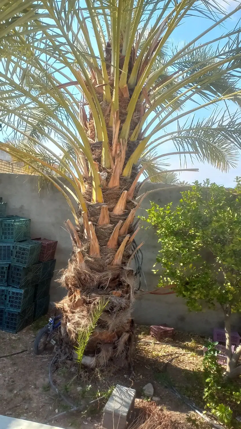 فروش زمین