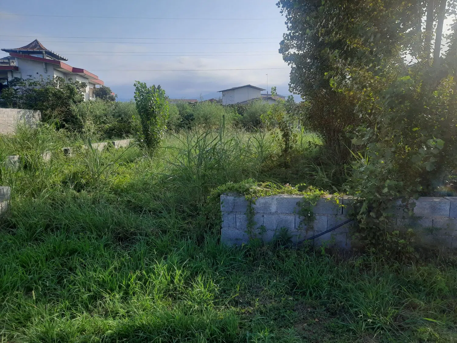 زمین ۲۶۲متری
