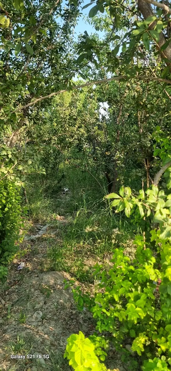 ۱۰۰۰مترزمین باغی_آب برق چاه_اسفهران