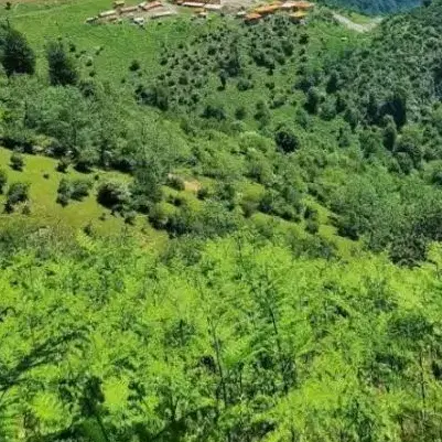 زمین ویلایی در متالوژی سعیدآباد