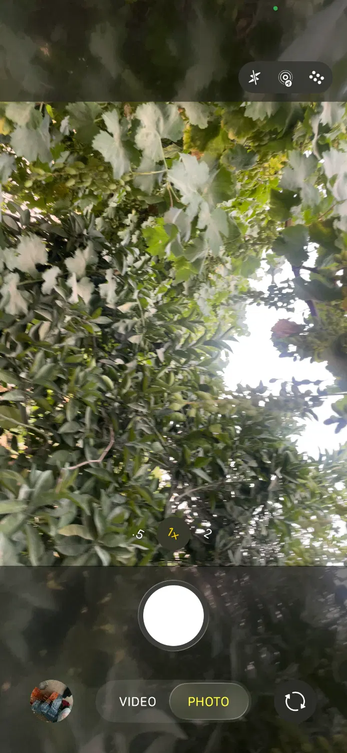 باغ ۵۰۰۰ متری
