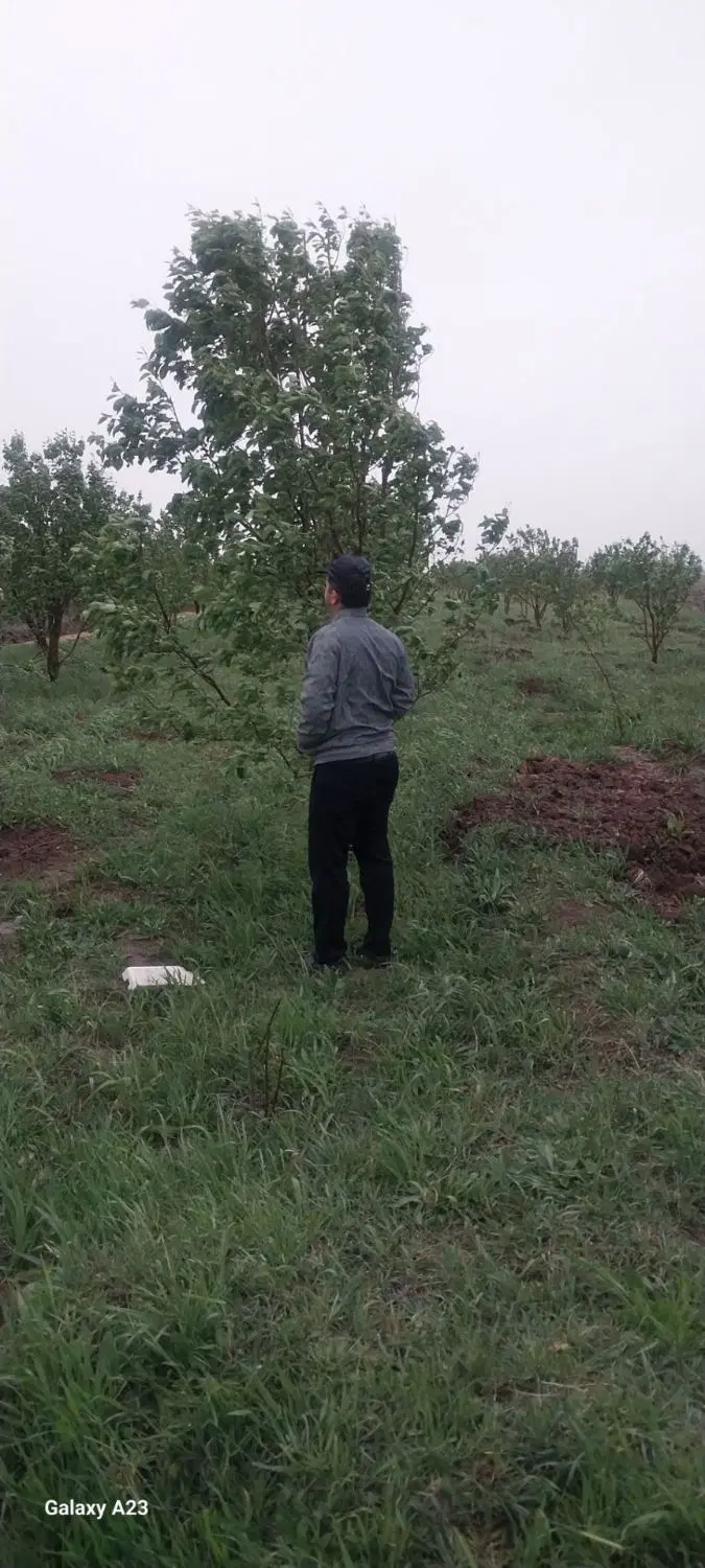 با سلام فروش باغ و زمین در روستای سرسبز قدیم آباد