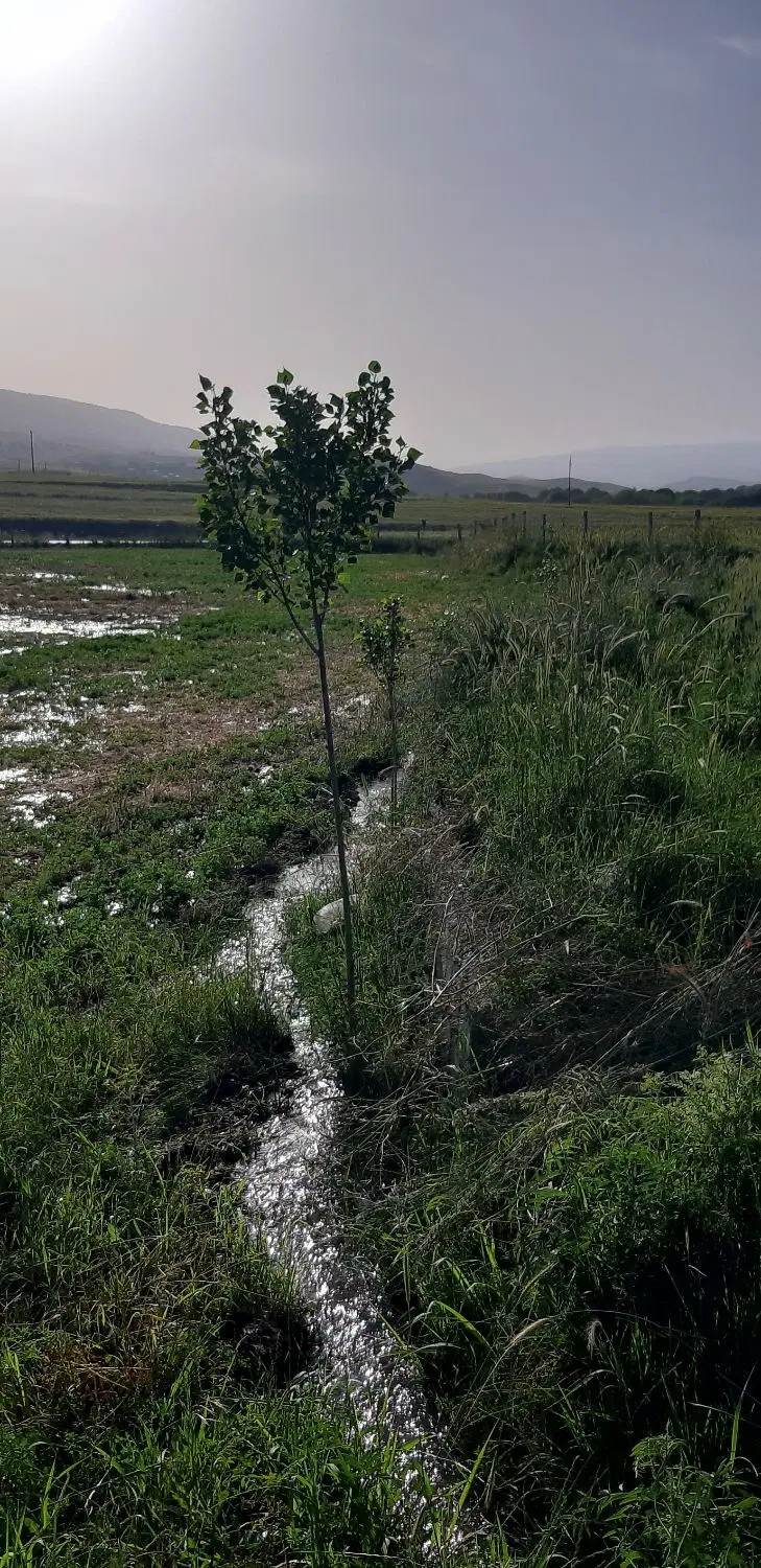 فروش زمین آبی مرغوب