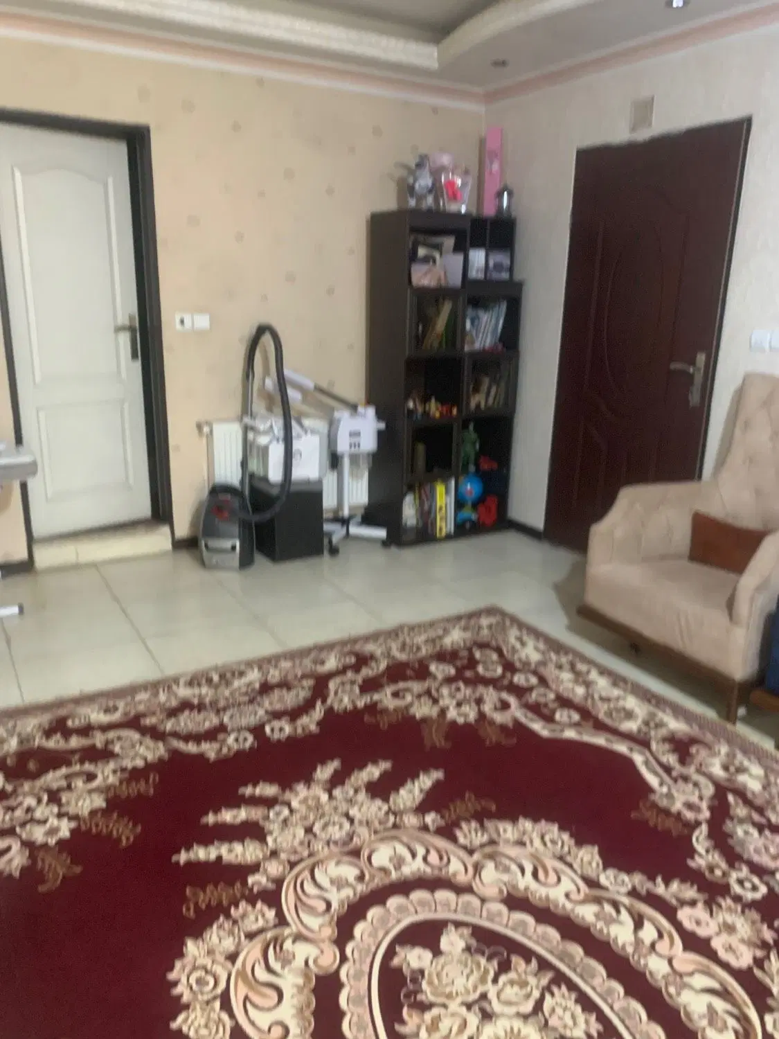 ۵۵ متر خیابان شیشم غربی