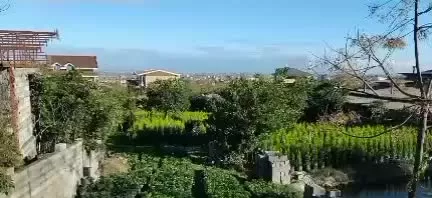 فروش زمین