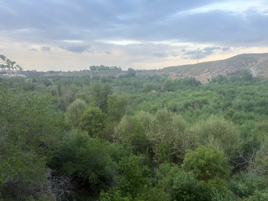 زمین به متراژ ۶۰۰۰متر