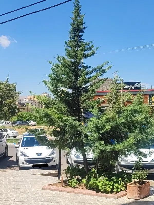 فروش مسکن مهر امام رضا ملکی