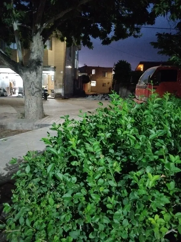 خونه اجاره ای