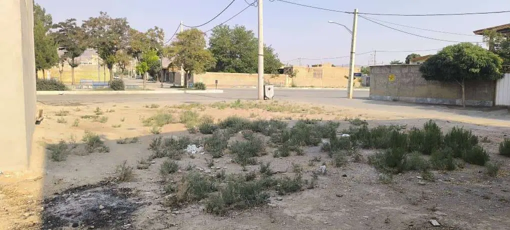 زمین