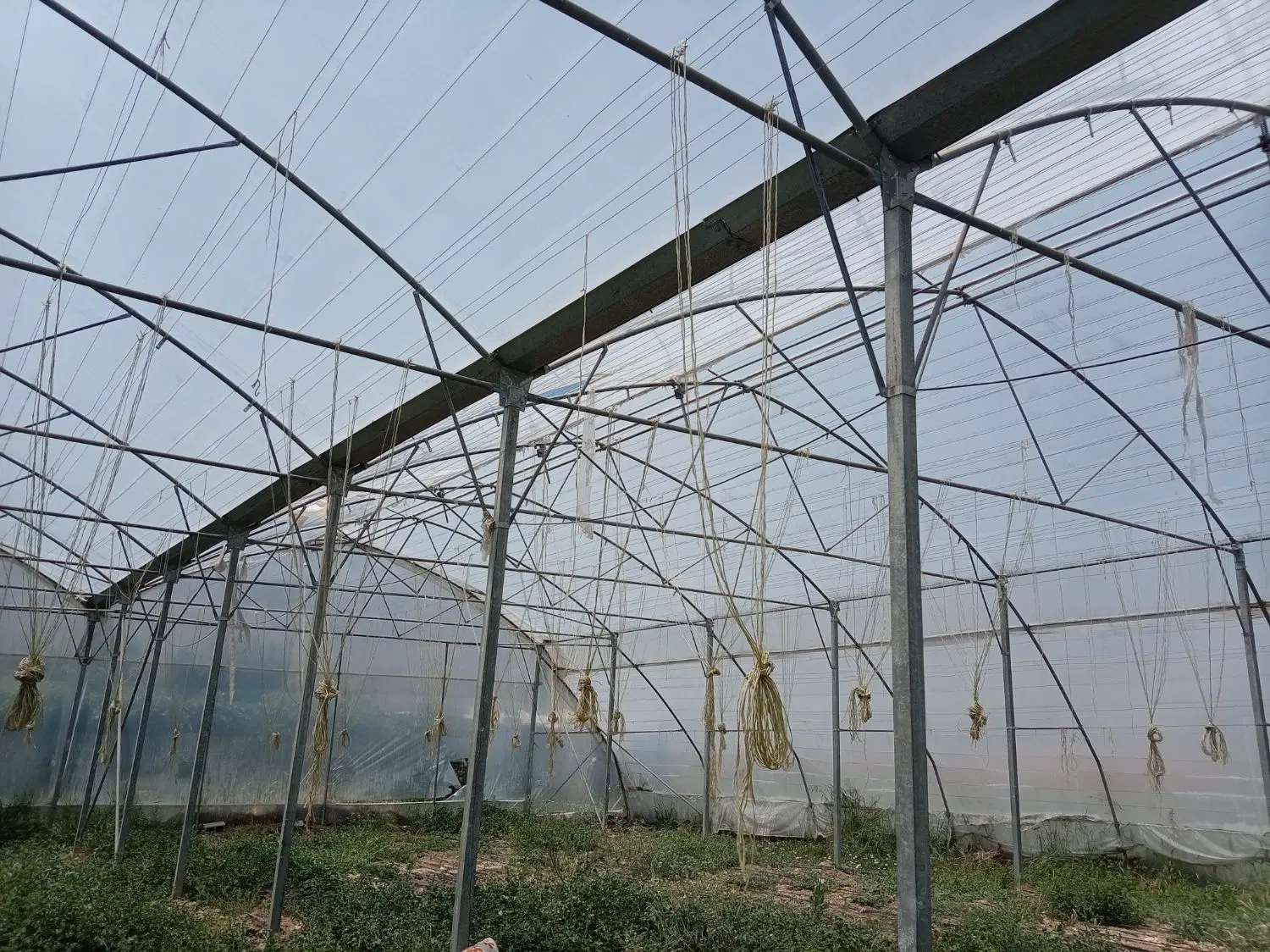 فروش سازه گلخانه ای دست دوم