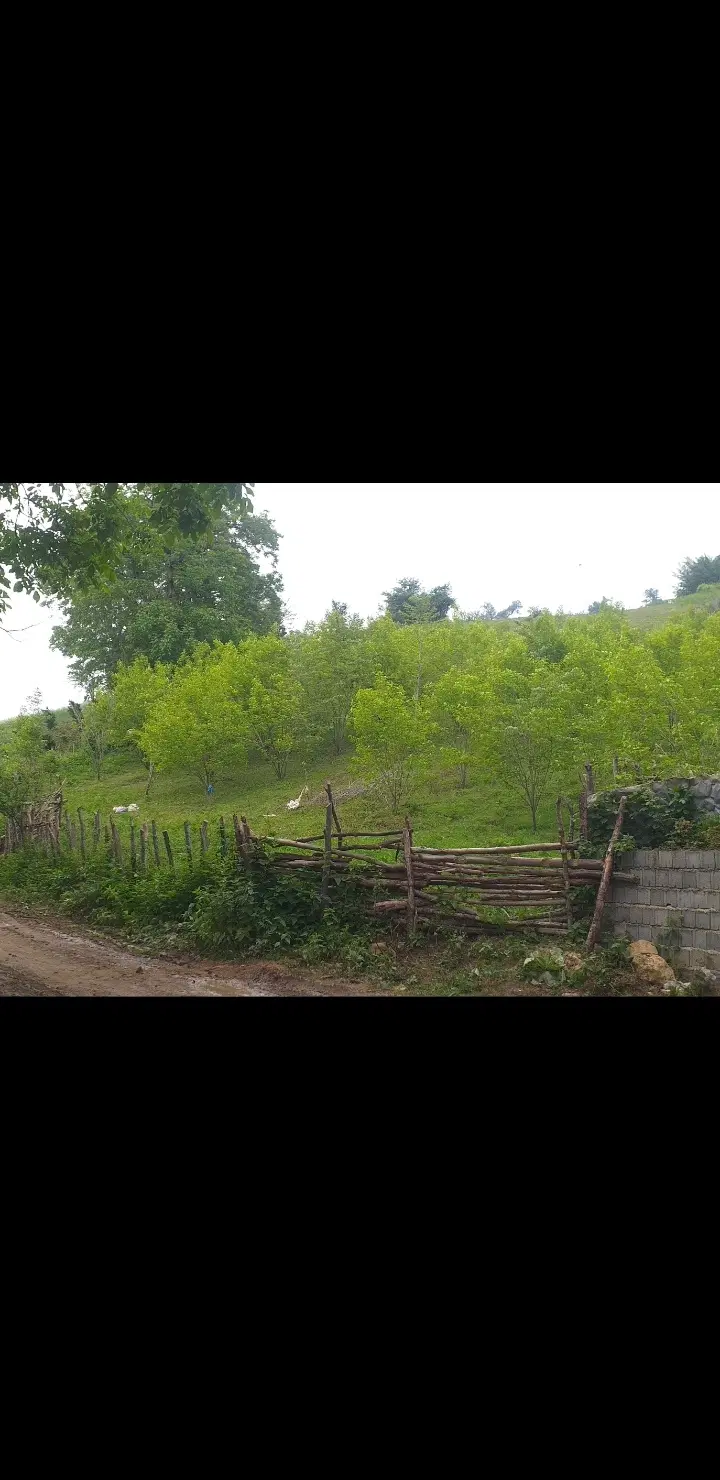 فروش ۵۰۰۰ متر زمین ویلایی بعد از روستای سقندیکلا