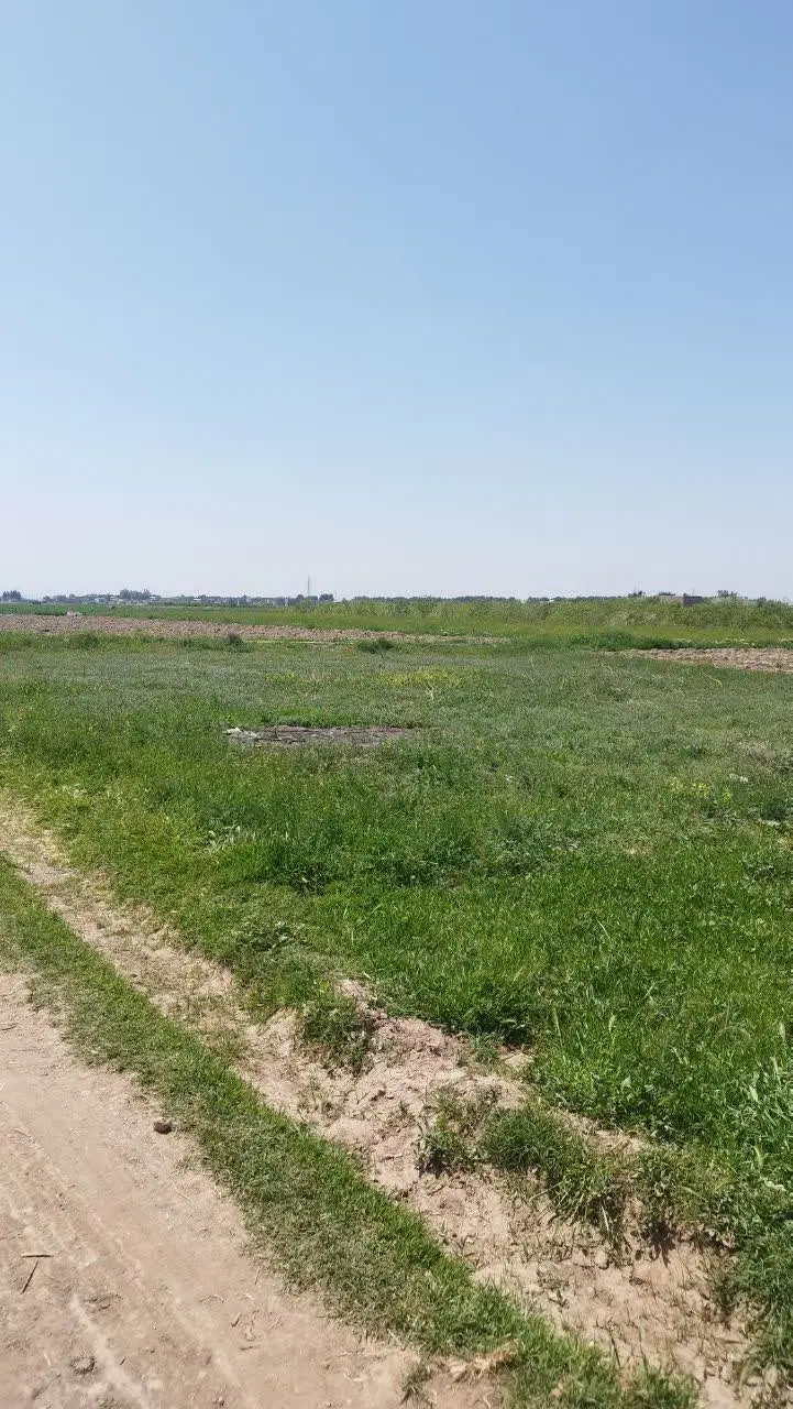 زمین فخریه