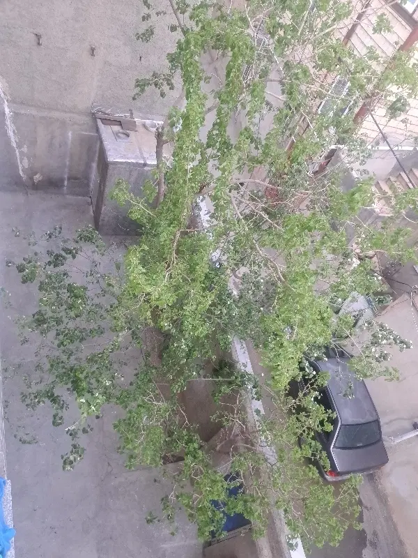 منزل مسکونی