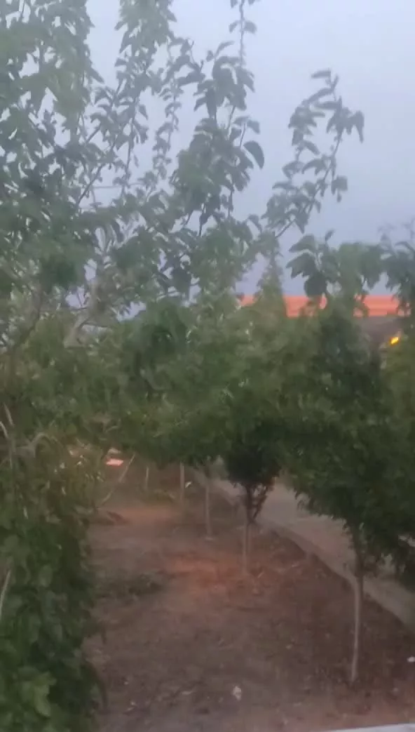 باغ۴۷۰متر باغمعروف(مسکن سواد)