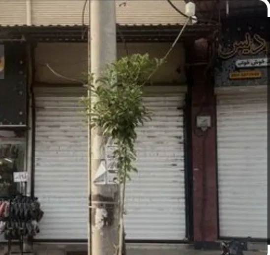 رهن تجاری_ خیابان توانیر_ املاک سدن