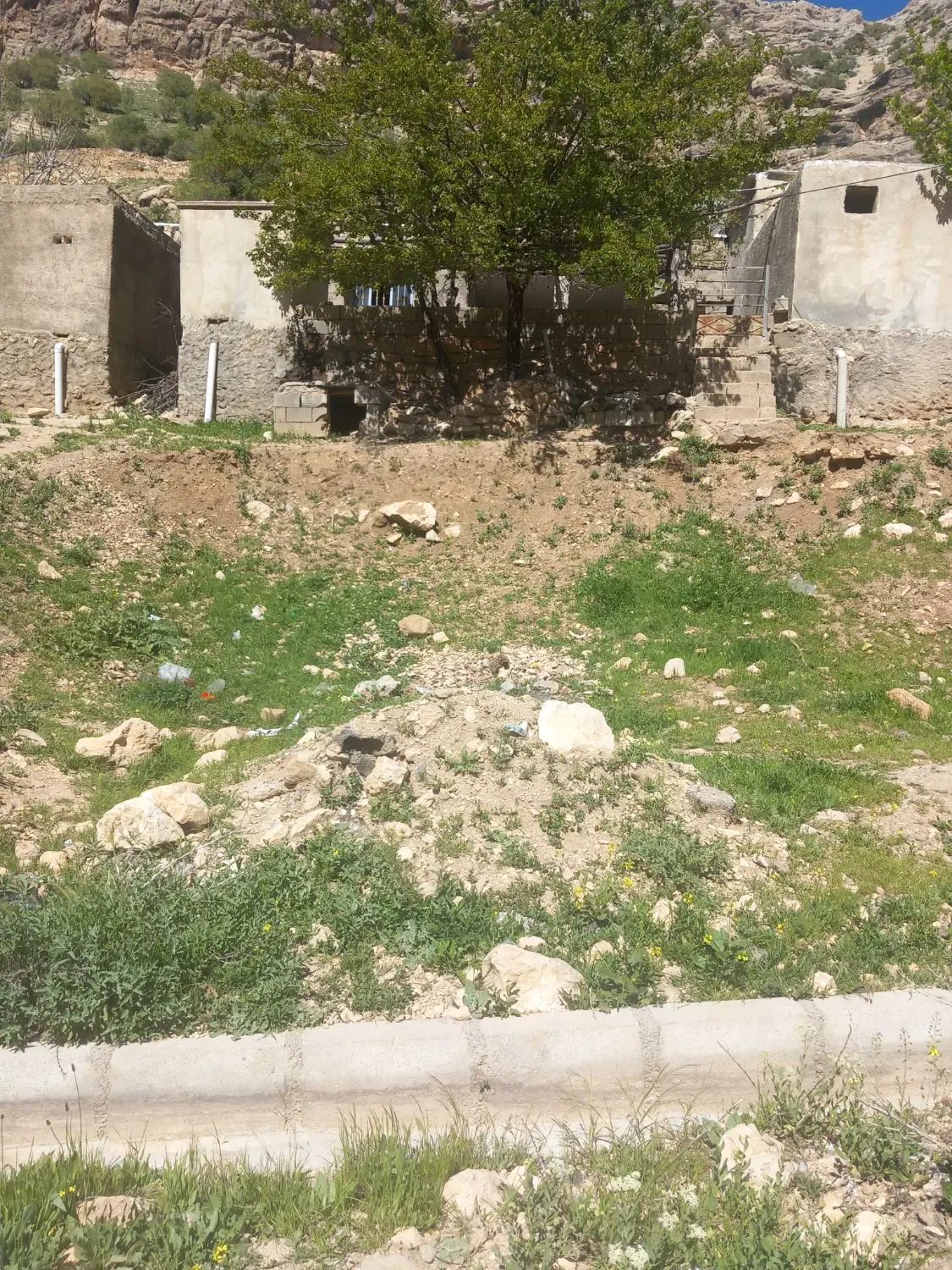 خانه و باغ