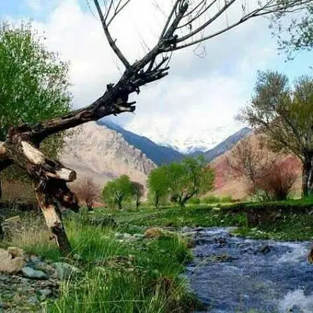 فروش