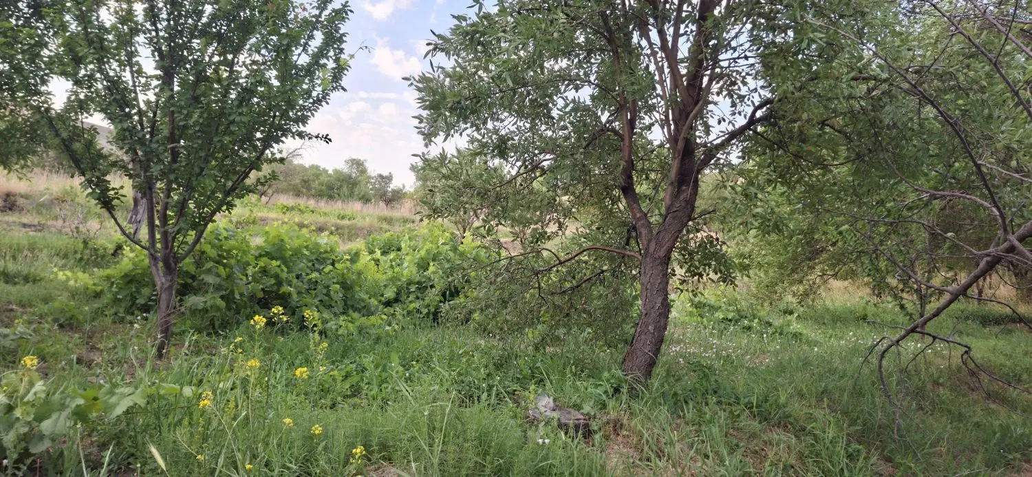 زمین آبی
