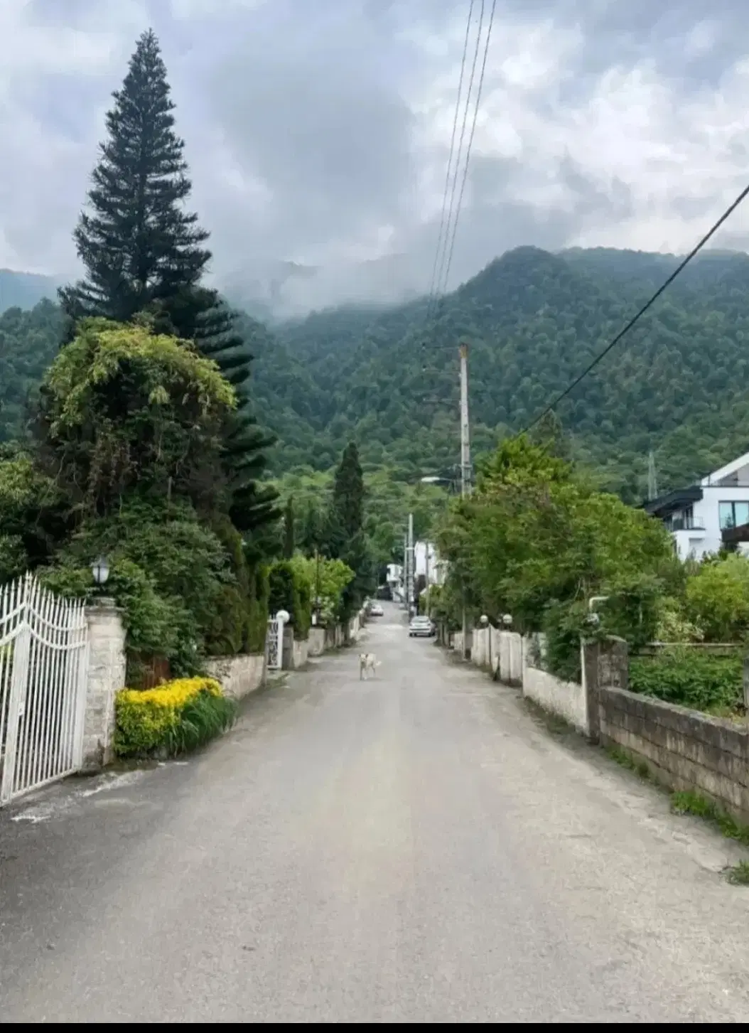 زمین مسکونی شمال زیر قیمت