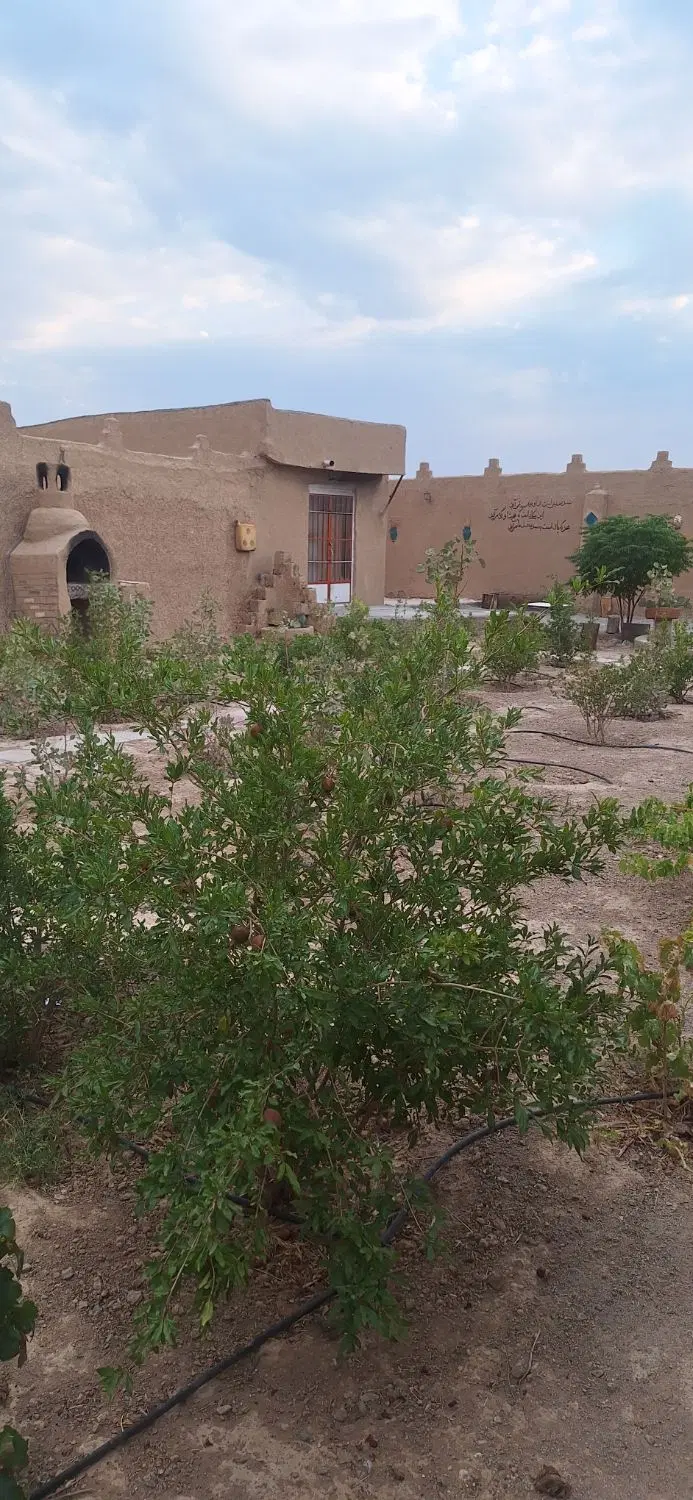 باغ منظریه