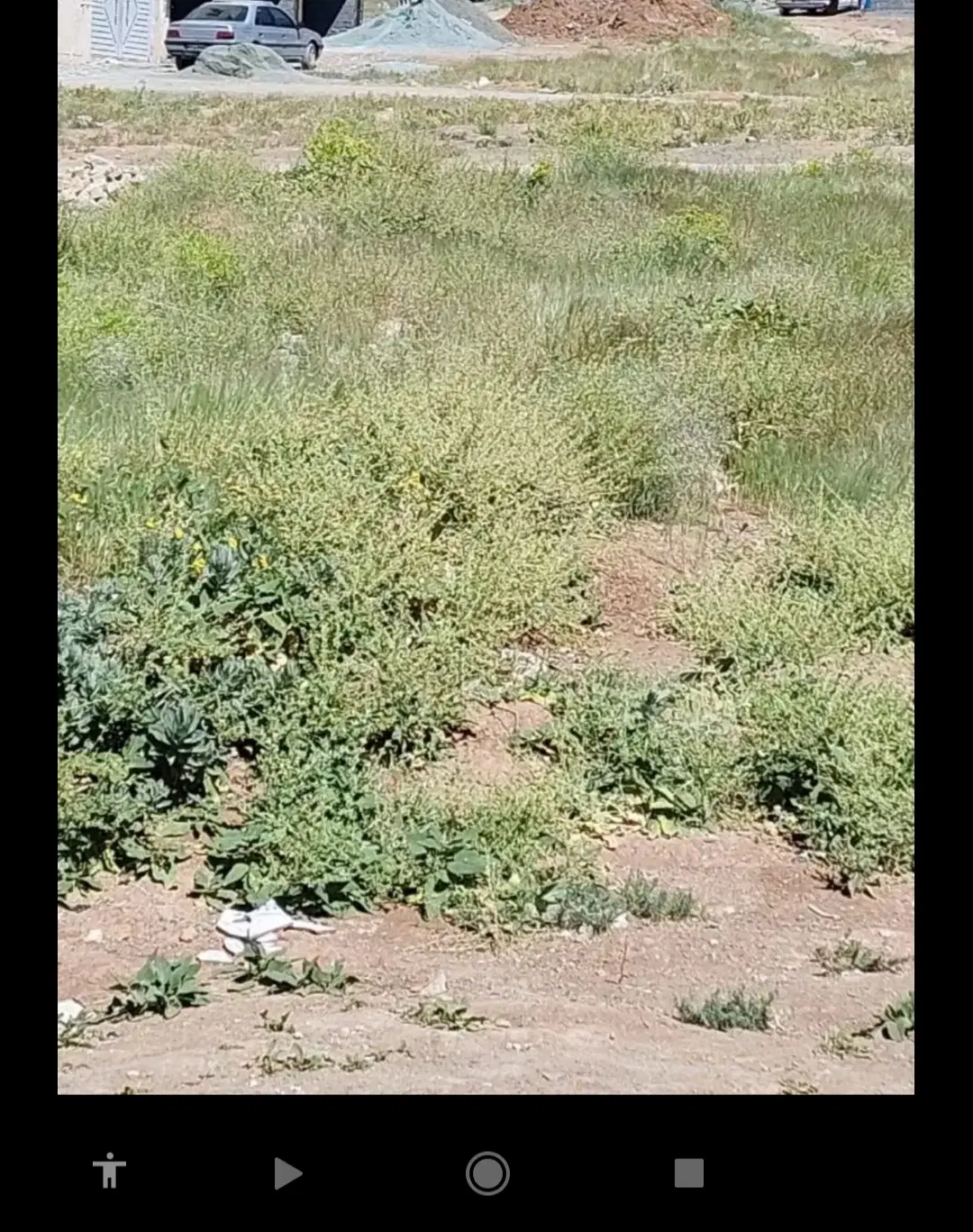 زمین ننله