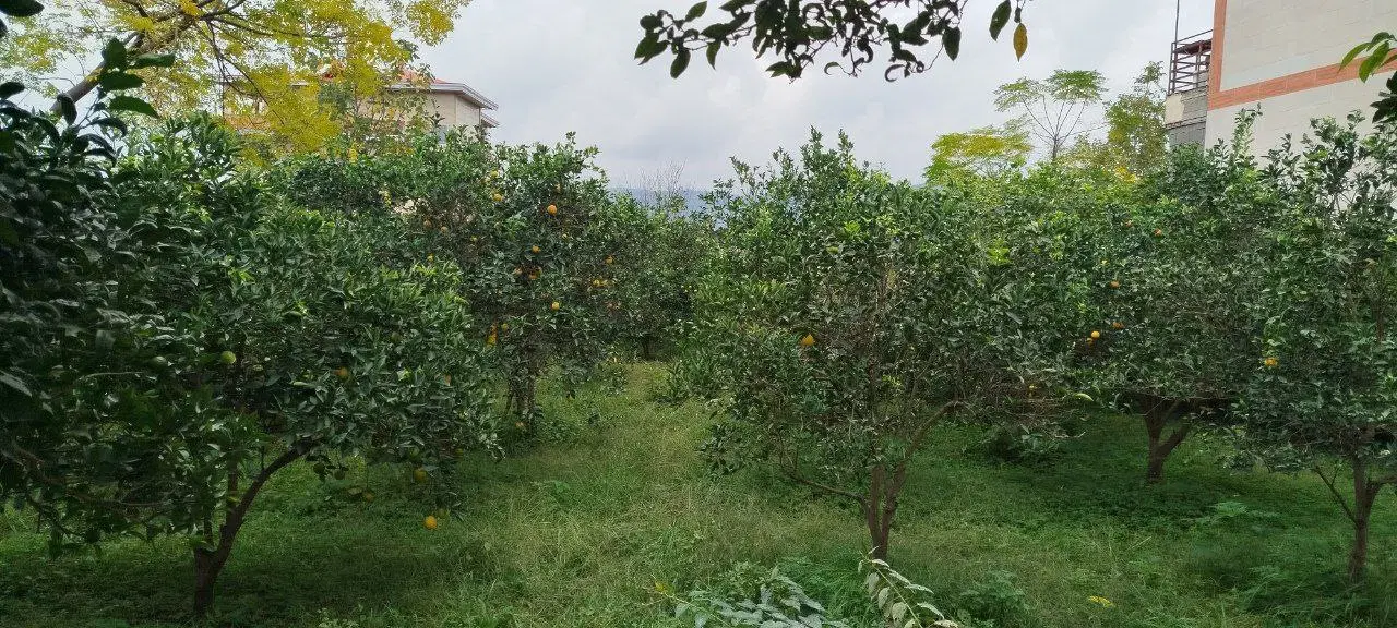 زمین تجاری مسکونی