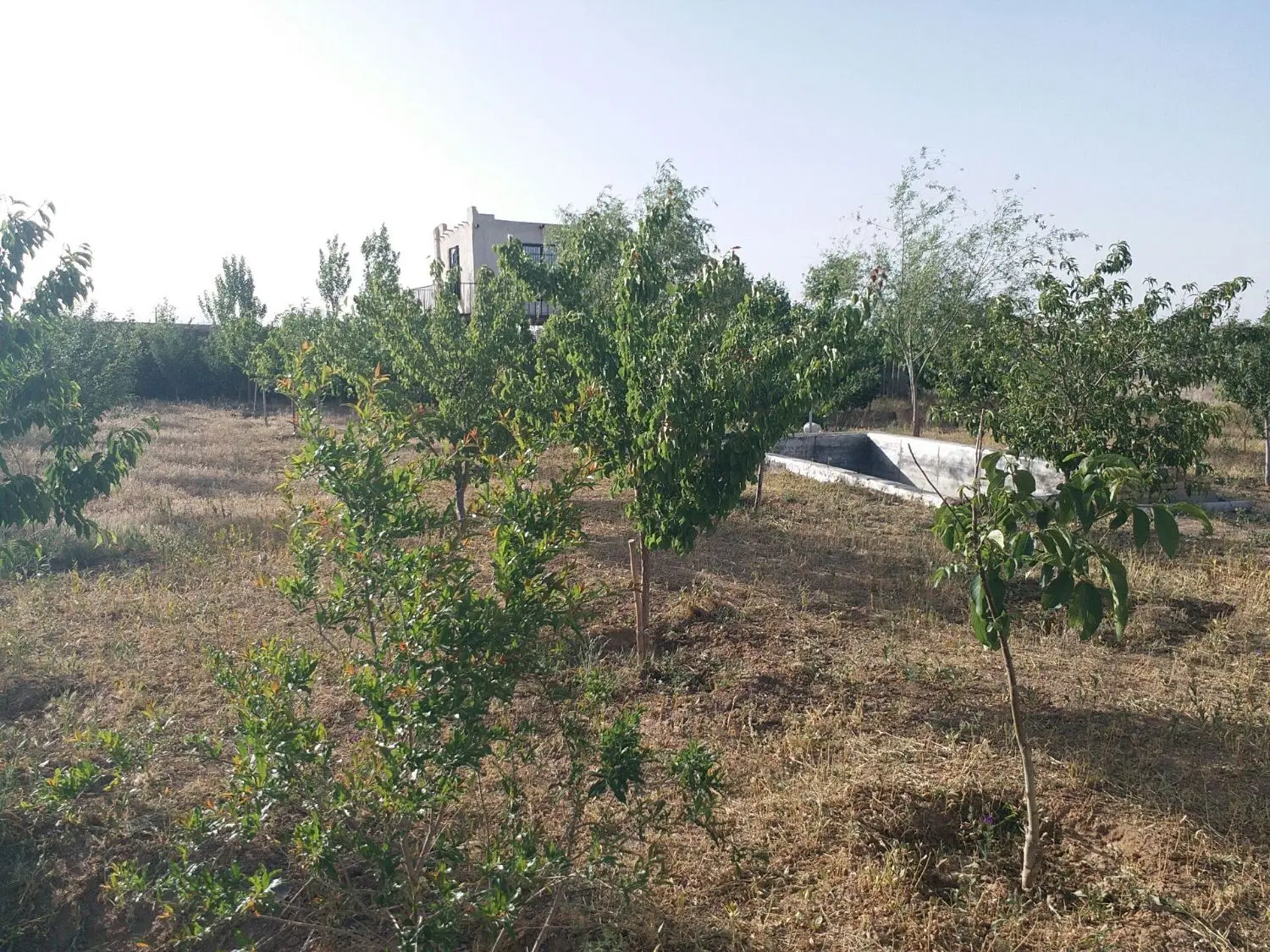 باغ هزار متری