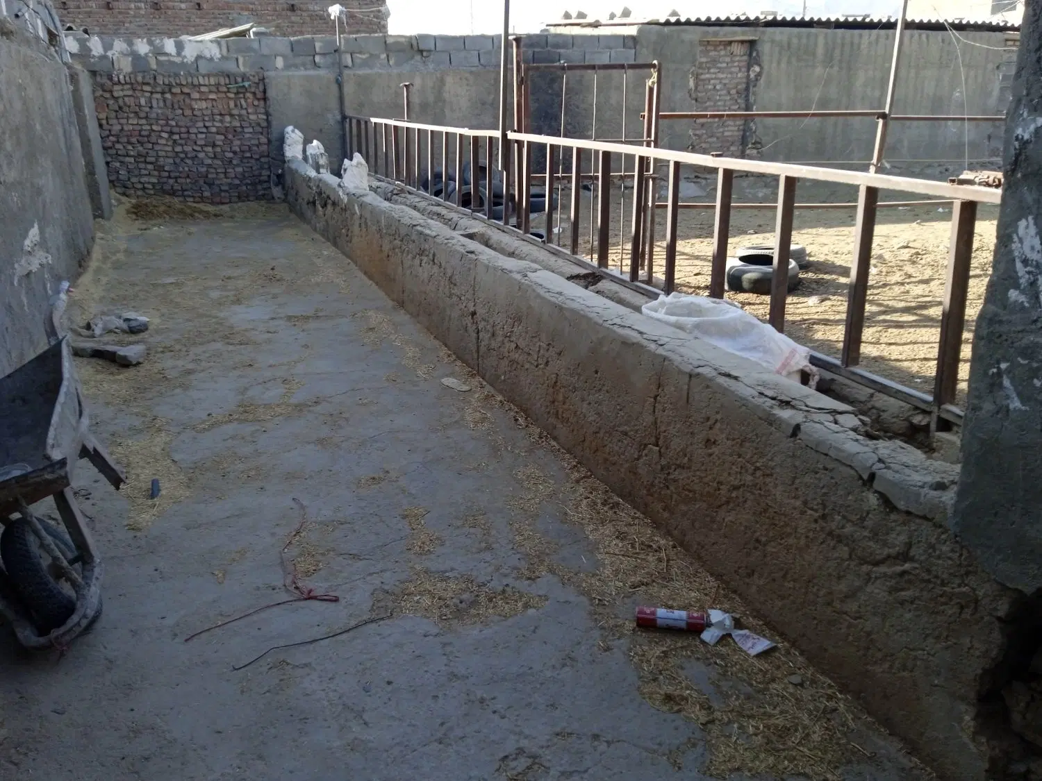 اجاره گاوداری