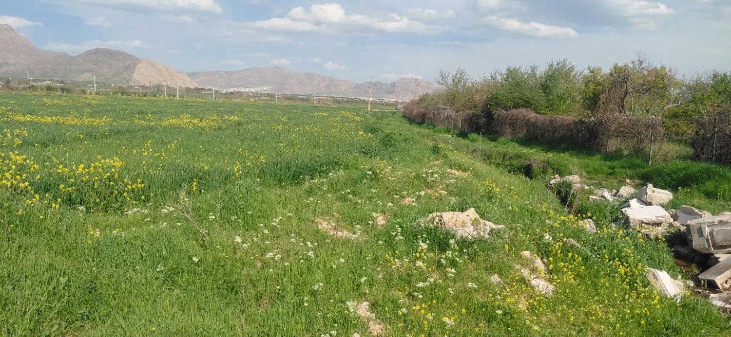 زمین باغ