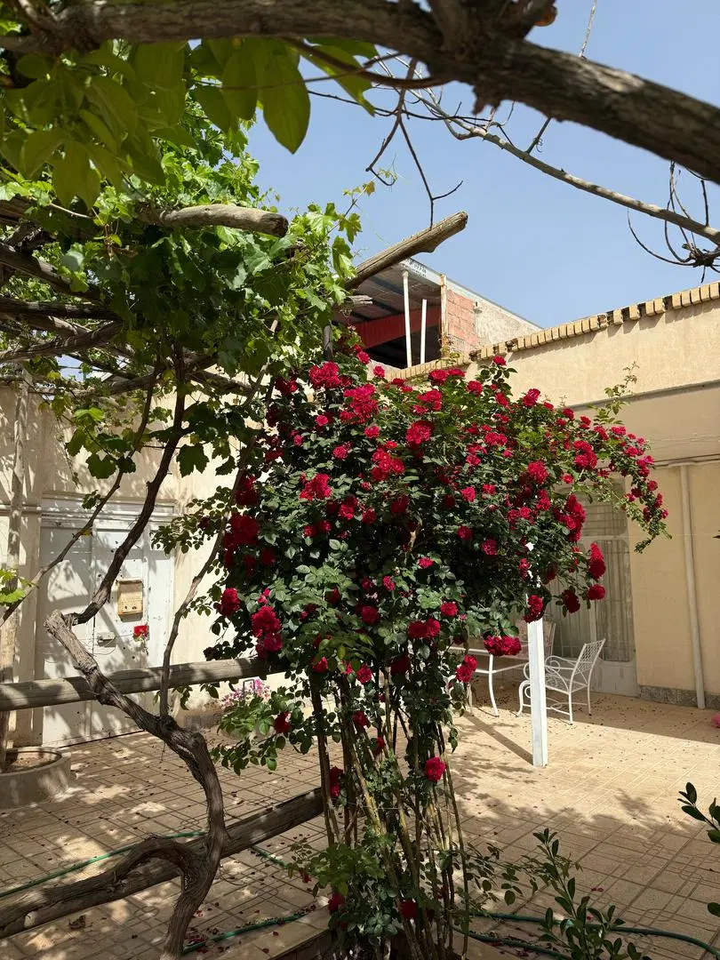 اجاره خانه ویلایی