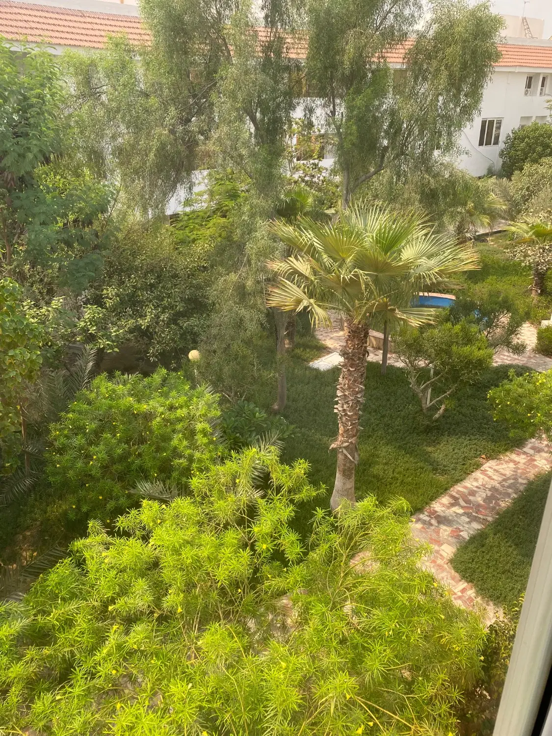 اجاره واحد ۷۵ متری تک خواب صدف