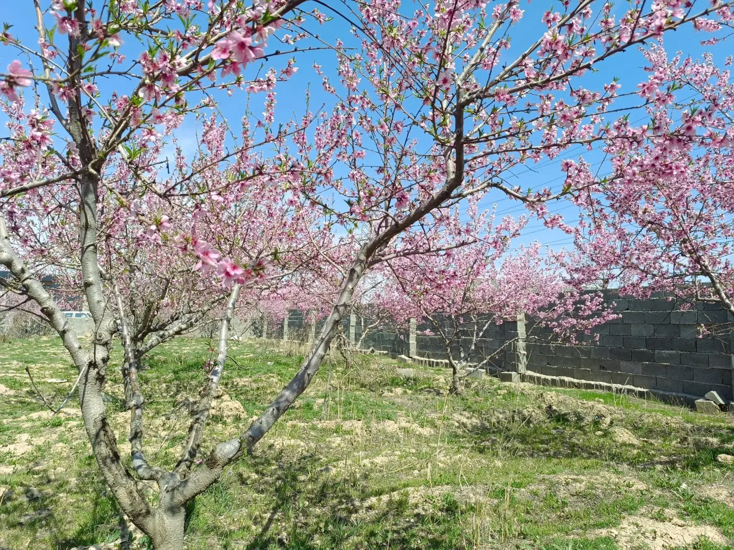 زمین 458 متری