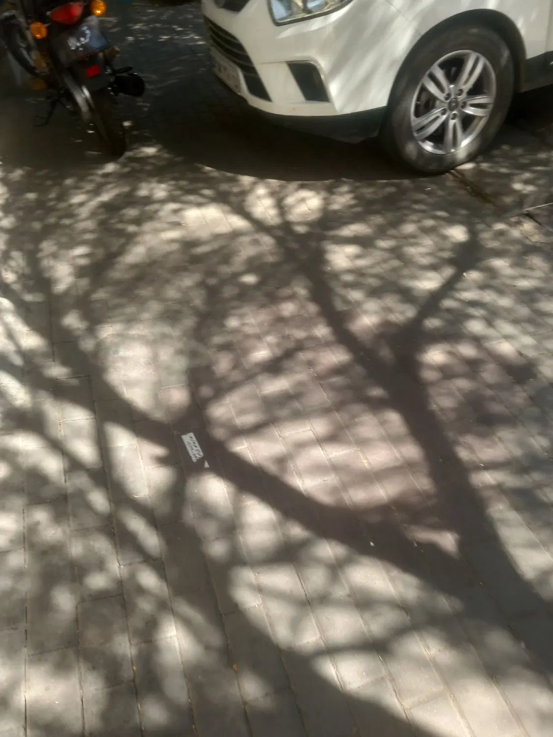 حیاط دربستی در ۲۰متری حکم اباد