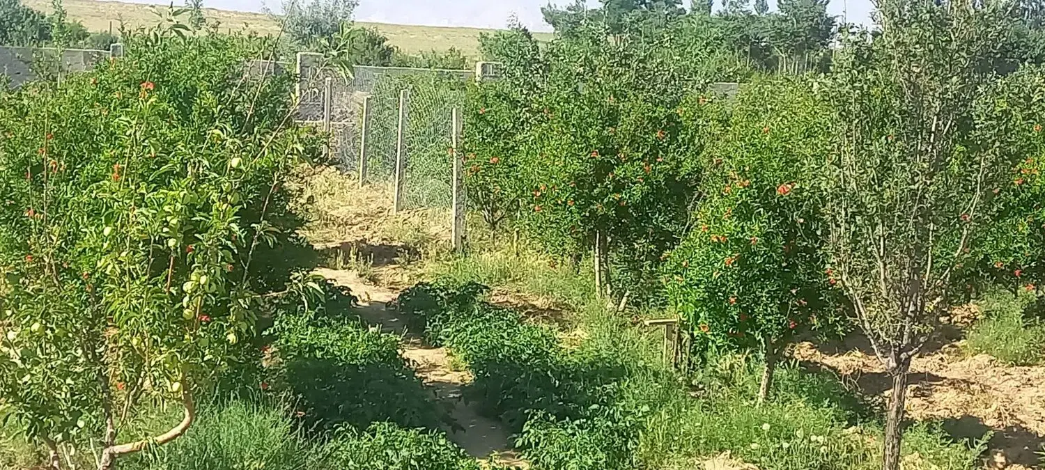 قطعه زمین رویایی شما در نجم‌آباد