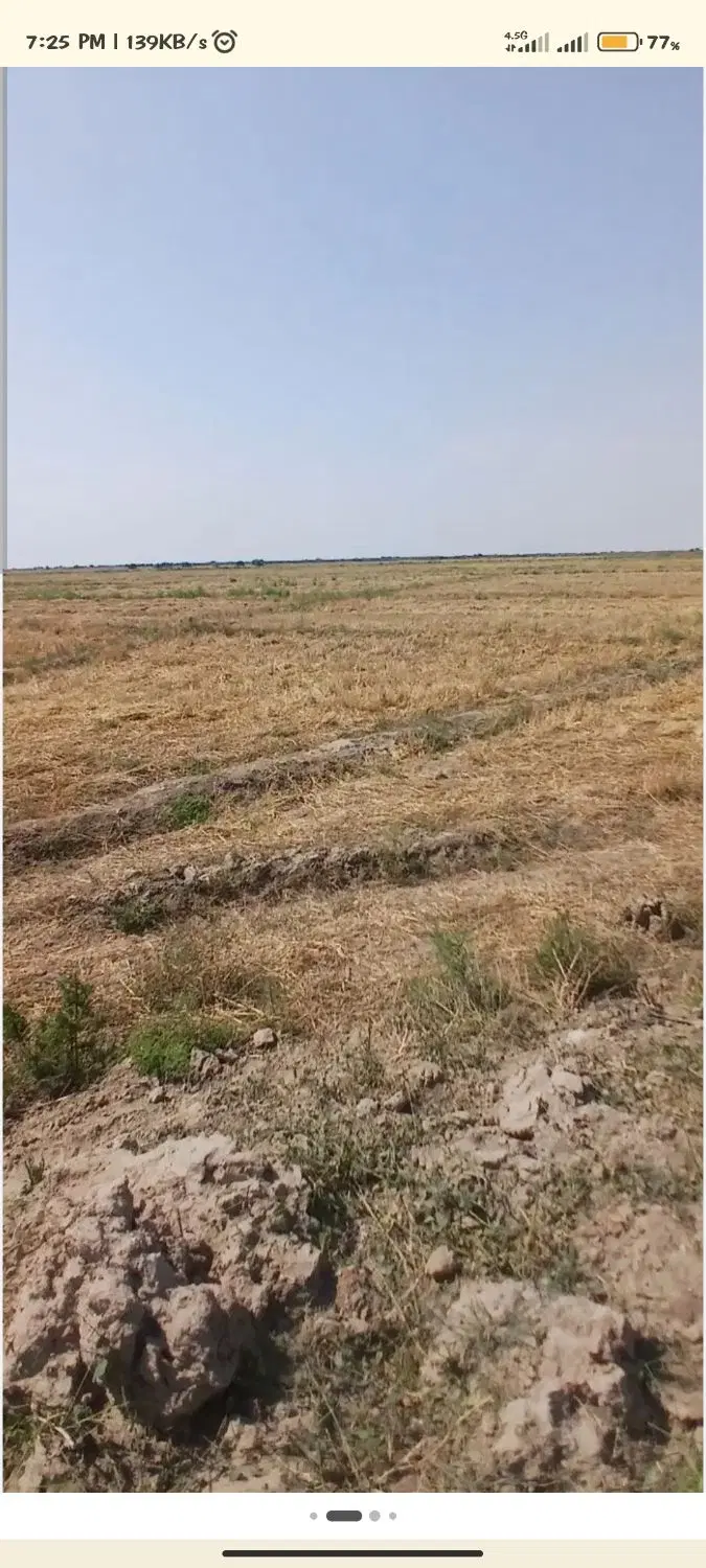 زمین کوهپایه