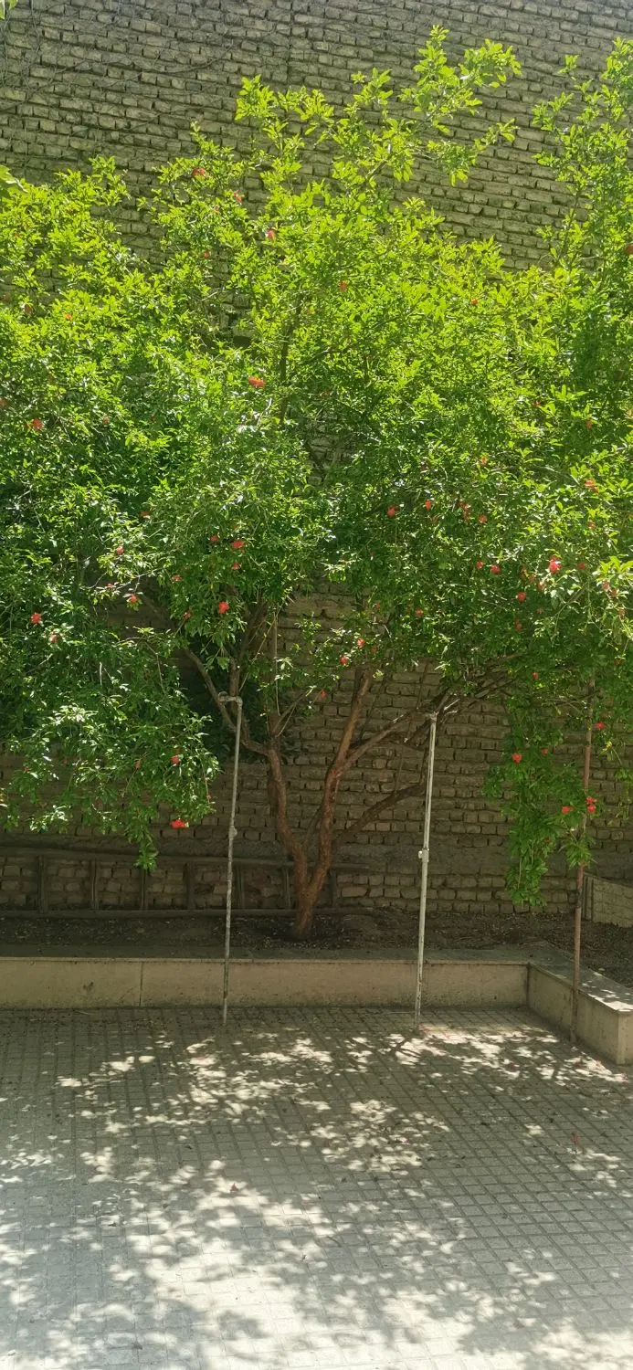 ۱۲۵متر ۲ خواب بازسازی شده رهن کامل حکیمیه