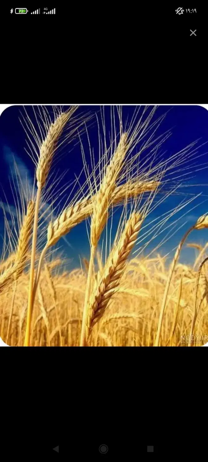 اجاره زمین کشاورزی