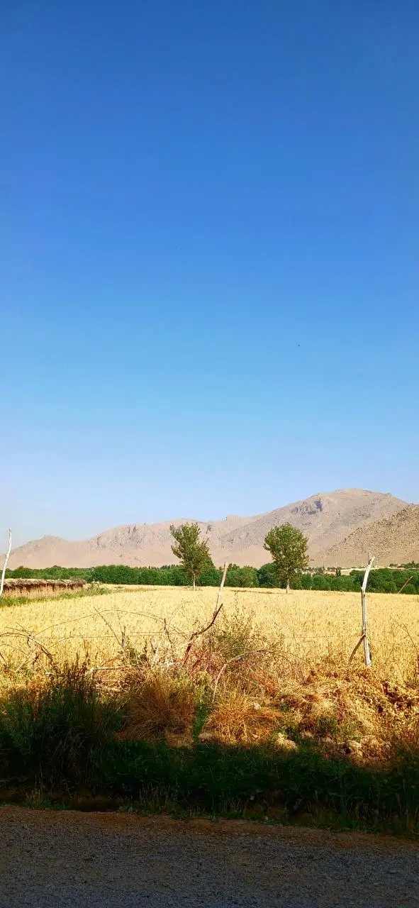 ویلایی توریستی (قیمت صحیح نیست قوانین برنامه است
