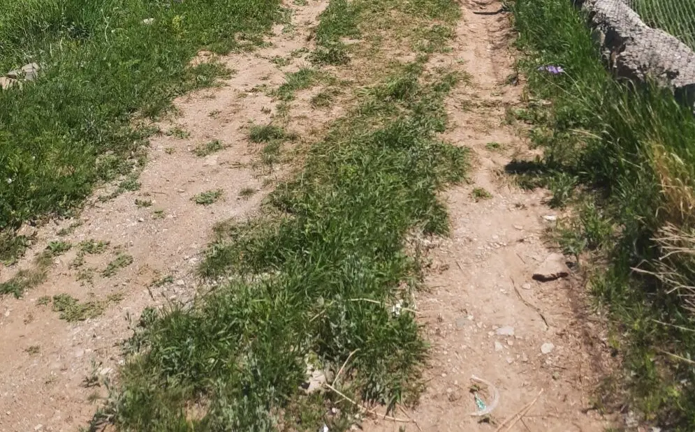 فروش زمین ۴۷۵۰ متری بحر جاده قدیم تهران