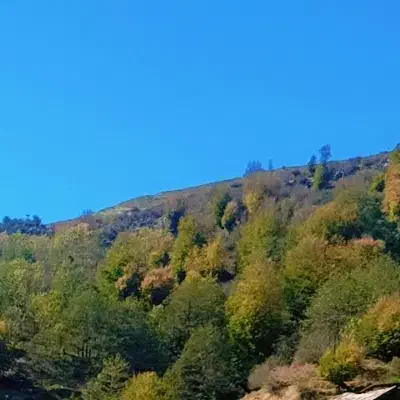 زمین کران