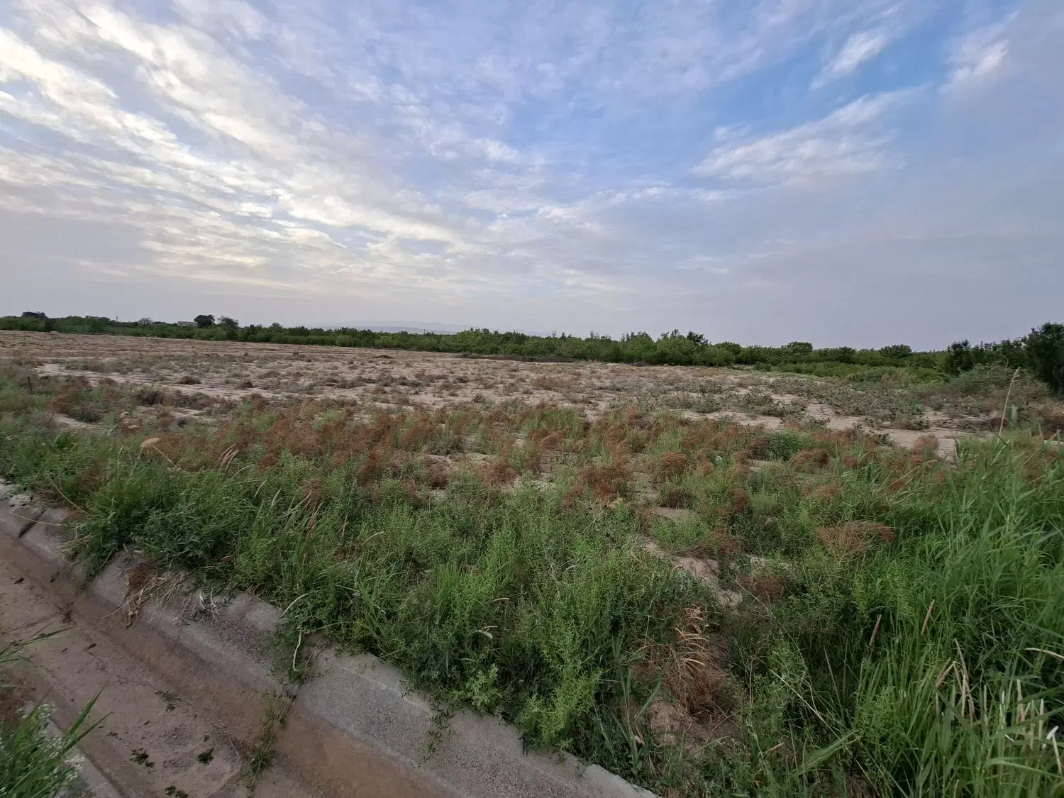 زمین کشاورزی ۱۵۰۰ متر محمودآباد آب موتور ۸ اینچ
