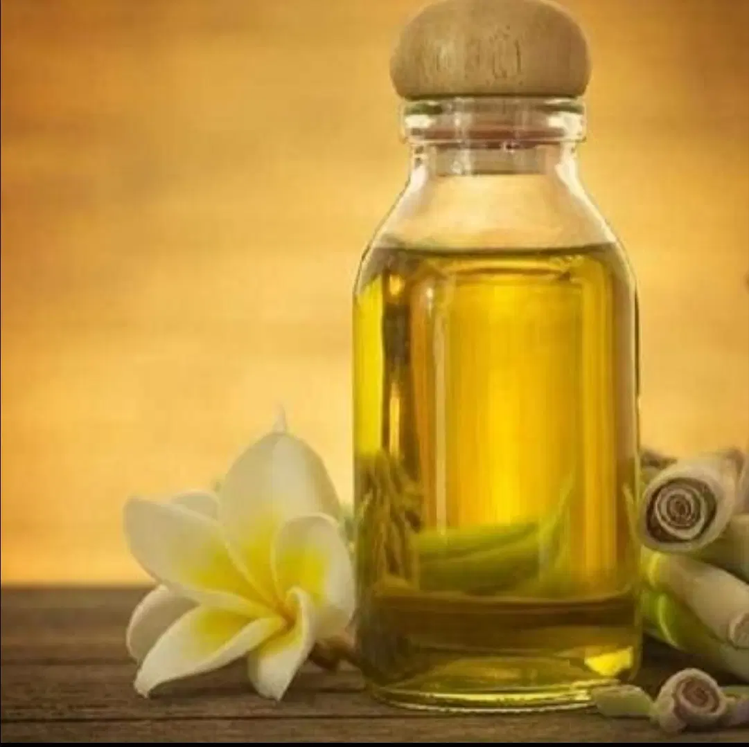 اجاره اطاق و لاین